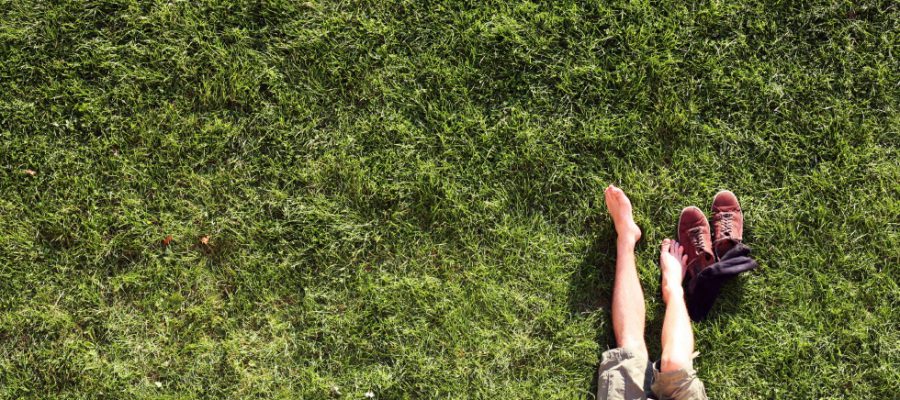 Es grünt so grün – Urban Gardening