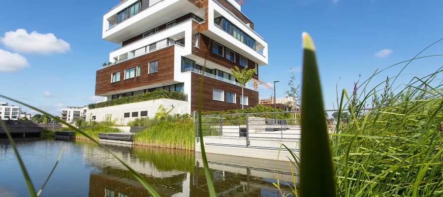 Energiewende gestalten: BUWOG wird Mitglied im Open District Hub