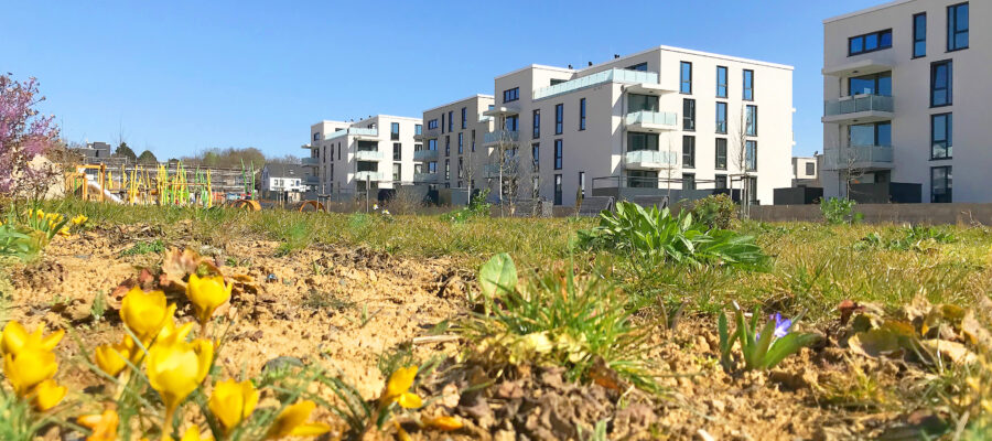 The Hainpark development: happy living in Wiesbaden
